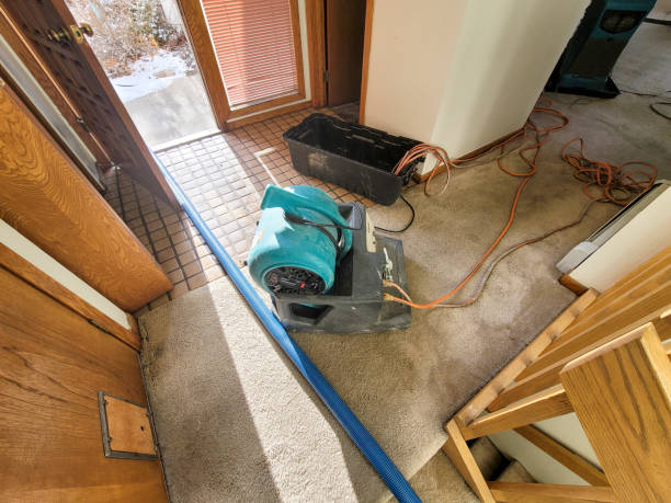 Best Commercial water damage restoration  in Leadville, CO