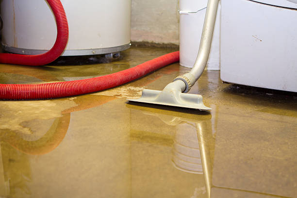  Leadville, CO Water damage restoration Pros