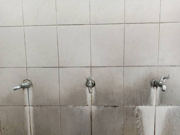 Best Professional water damage repair  in Leadville, CO